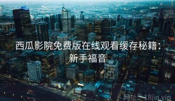 西瓜影院免费版在线观看缓存秘籍：新手福音