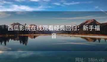 西瓜影院在线观看经典回归：新手福音