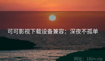 可可影视下载设备兼容：深夜不孤单