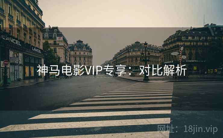 神马电影VIP专享：对比解析